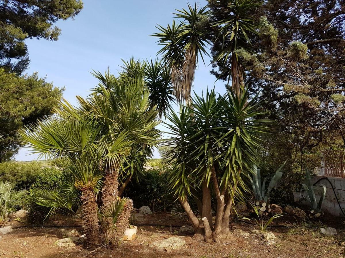 Villa Mina Carovigno Kültér fotó